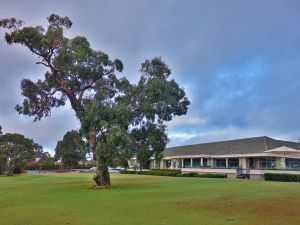 Woodlands Tree And Clubhouse